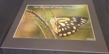 Load image into Gallery viewer, Photographs 11" X 14" ( 27.94cm X 35.56cm) On sale were $35 now only $18.00