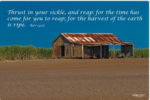 Load image into Gallery viewer, Photographs 11" X 14" ( 27.94cm X 35.56cm) On sale were $35 now only $18.00