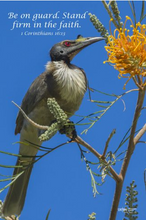 Load image into Gallery viewer, Photographs 11" X 14" ( 27.94cm X 35.56cm) On sale were $35 now only $18.00