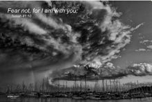 Load image into Gallery viewer, Photographs 11" X 14" ( 27.94cm X 35.56cm) On sale were $35 now only $18.00