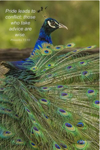 Load image into Gallery viewer, Photographs 11" X 14" ( 27.94cm X 35.56cm) On sale were $35 now only $18.00
