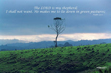 Load image into Gallery viewer, Photographs 11" X 14" ( 27.94cm X 35.56cm) On sale were $35 now only $18.00