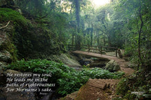 Load image into Gallery viewer, Photographs 11" X 14" ( 27.94cm X 35.56cm) On sale were $35 now only $18.00