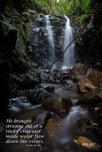 Load image into Gallery viewer, Photographs 11" X 14" ( 27.94cm X 35.56cm) On sale were $35 now only $18.00