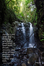 Load image into Gallery viewer, Photographs 11" X 14" ( 27.94cm X 35.56cm) On sale were $35 now only $18.00