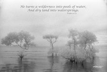 Load image into Gallery viewer, Photographs 11" X 14" ( 27.94cm X 35.56cm) On sale were $35 now only $18.00