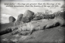 Load image into Gallery viewer, Photographs 11" X 14" ( 27.94cm X 35.56cm) On sale were $35 now only $18.00