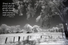 Load image into Gallery viewer, Photographs 11" X 14" ( 27.94cm X 35.56cm) On sale were $35 now only $18.00