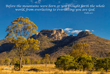 Load image into Gallery viewer, Photographs 11" X 14" ( 27.94cm X 35.56cm) On sale were $35 now only $18.00