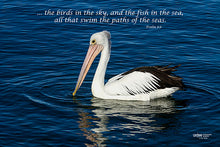 Load image into Gallery viewer, Photographs 11" X 14" ( 27.94cm X 35.56cm) On sale were $35 now only $18.00