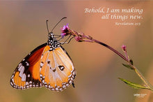 Load image into Gallery viewer, Photographs 11" X 14" ( 27.94cm X 35.56cm) On sale were $35 now only $18.00