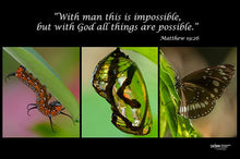 Load image into Gallery viewer, Photographs 11" X 14" ( 27.94cm X 35.56cm) On sale were $35 now only $18.00