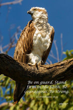 Load image into Gallery viewer, Photographs 11" X 14" ( 27.94cm X 35.56cm) On sale were $35 now only $18.00
