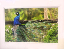 Load image into Gallery viewer, Photographs 11&quot; X 14&quot; ( 27.94cm X 35.56cm) On sale were $35 now only $18.00
