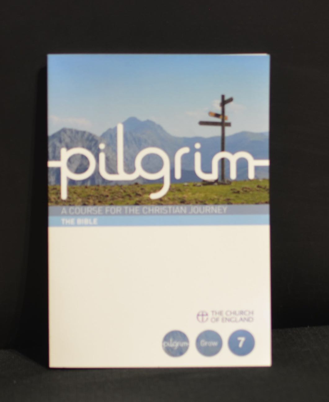 Pilgrim A Course For The Christian Journey